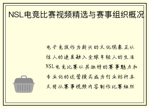 NSL电竞比赛视频精选与赛事组织概况